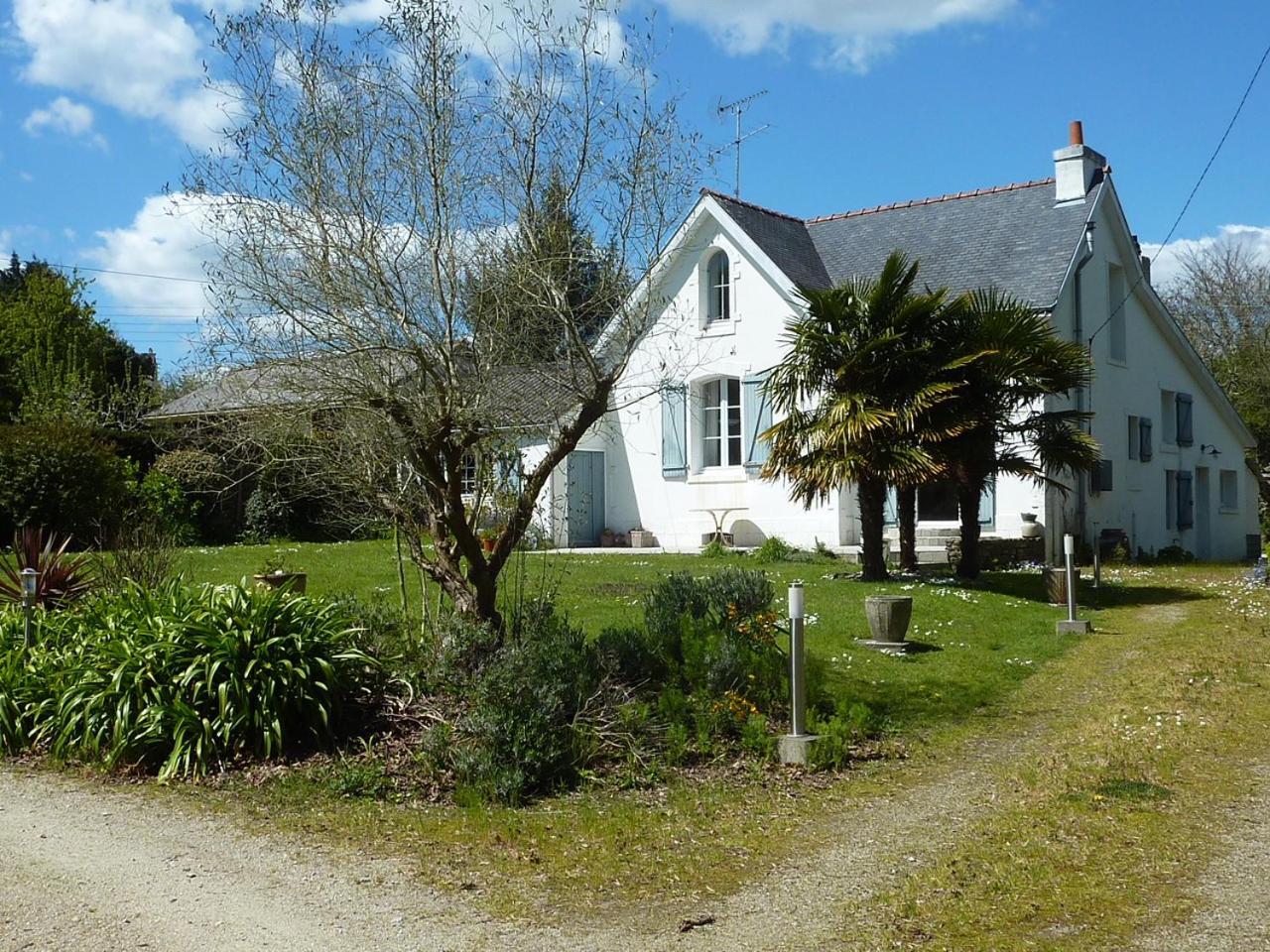 Paradis Clohars-Carnoët Exteriér fotografie